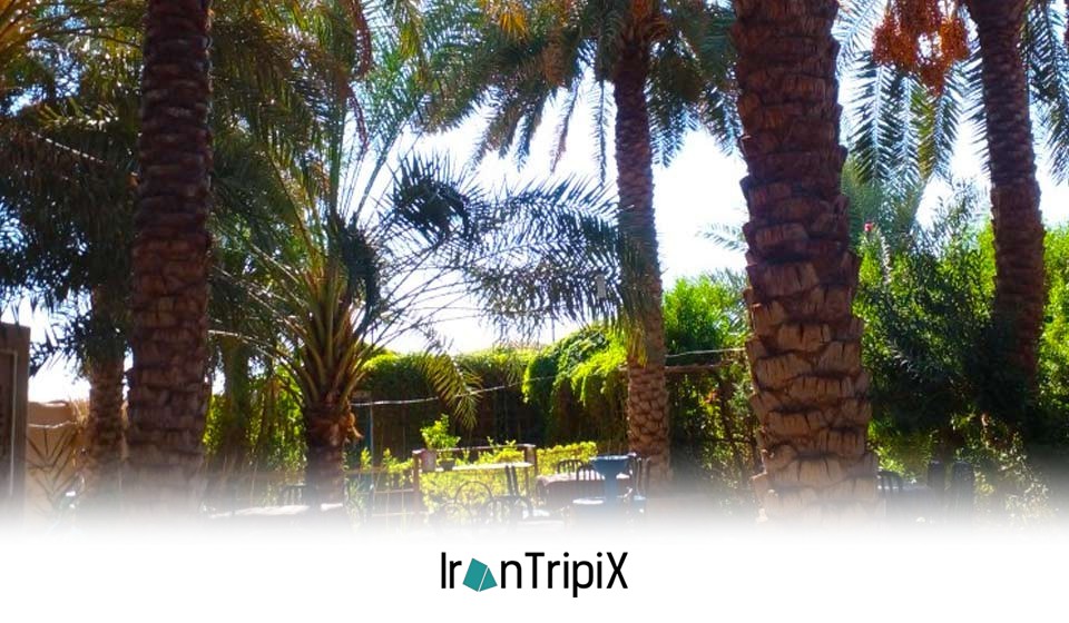 Shahdad Desert Eco Lodge