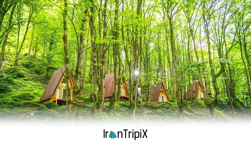 Safarud Forest Cabins Ramsar