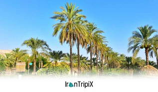 Anarestan Ecotourism Lodge Jame