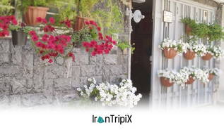 Mehrpoya Guesthouse Isfahan