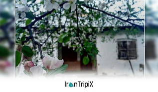 Mirkah Rural Stay Delir