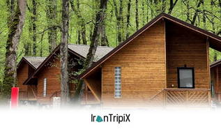 Forest Hostel Savadkooh