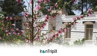 Parsa Eco Lodge Marvdasht