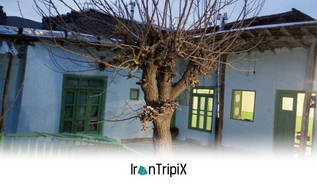 Shodalon Eco Lodge Torbat e Heydarieh